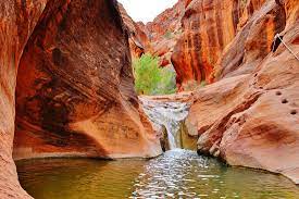 We did not find results for: Red Cliffs Recreation Area Red Reef Trail Your Hike Guide