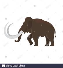 Mammut entwickelte sich aus einem kleinen handwerklichen familienbetrieb zu einem. Mammut Eiszeit Illustration Stockfotos Und Bilder Kaufen Alamy