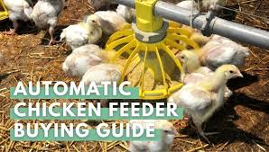 Diy automatic chicken feeder assembly instructions. Automatic Chicken Feeder The 7 Best Chicken Feeders 2021