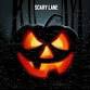 ANNUAL "SCARY LANE" event in Corpus Christi, TX