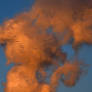 Germany Faces Resource Limits Amid Energy Transition Collaboration with Denmark