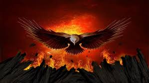 Fire Eagle Wallpapers Wallpaper Cave , taken with an unknown camera 10/31 2017 the picture taken with. fire eagle wallpapers wallpaper cave