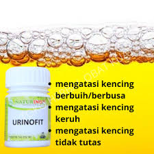 Sekiranya air kencing anda berbuih, jangan panik dulu. Obat Kencing Berbuih Kencing Keruh Kencing Tidak Jernih Herbal Ampuh Shopee Indonesia