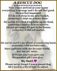 A Rescue Dog Now I Have Arrived At Your Home Everything Is Strange And I Do Not Feel Good Do Not Feel Impatient I Rescue Quotes Rescue Dogs Animal Rescue