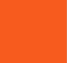 Range Nippon Paint Orange 2k Pu