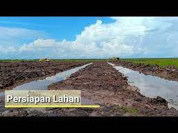 Alat Berat Youtube Kebun Youtube