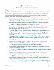 Pogil activities for ap biology answer key neuron …. Neuron Function Pogil Pdf Neuron Function How Does A Signal Travel Across And Between Neurons Why Just As The Coaxial Cables That Run Down Your Street Course Hero