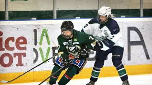 Färjestad has had 18 swedish championship final appearances, winning nine times since elitserien was started in 1975. Nana And Nachi Fujimoto Bring Japan To Farjestad Bk The Ice Garden