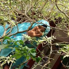 We did not find results for: Dalam Permainan Bola Untuk Dapat Bermain Yang Baik Perlu Adanya Brainly Co Id