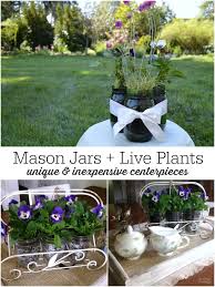 Whole foods flowers in mason jar. Easy Mason Jar Flower Arrangements With Live Plants An Oregon Cottage