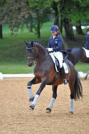 The trakehner licensed stallion grand passion has moved from his french home base in vidauban to framersheim, germany, where he will be trained by dorothee schneider. Dorothee Schneider D Schneider Kaiserkult Tsf Equestrian Dressage Dressage Horses Horses