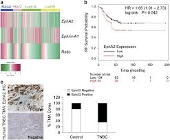 Most credit card companies offer reward points when you spend via your card. Targeting Epha2 Impairs Cell Cycle Progression And Growth Of Basal Like Triple Negative Breast Cancers Oncogene