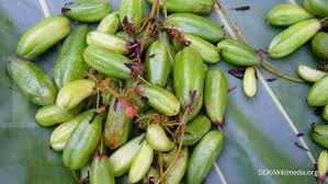 Not known facts about penawar kencing manis. Belimbing Wuluh Obat Herbal Diabetes Melitus Begini Aturan Konsumsinya