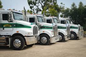 Including fertilizers, grass seed, herbicides, landscaping, irrigating, lawn care products and all kinds of gardening tools to work in the yard or garden. Donnellys Garden Supplies