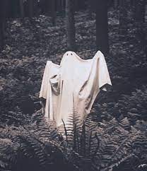 Paranormal aesthetic | tumblr learn black magic, two door cinema club, aliens and ufos. Your Local Sheetghost