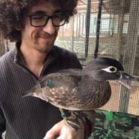 6 "Mitchell Hinton" profiles