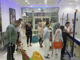 Aside from shopping supplies and food does petco sell cats? The Biggest Pet Shop In Dubai Buy Pet Supplies In Dubai Abu Dhabi Uae Dog Food Cat Food And More Best Prices Guaranteed Pet Sky