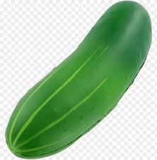 Cucumber Clipart Png Image With Transparent Background Toppng When designing a new logo you can be inspired by the visual logos found here. cucumber clipart png image with