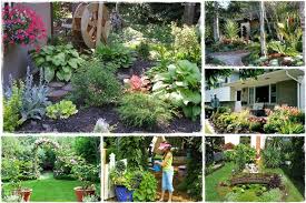 But how do you fit medicinal herbs into your home garden plans? Home Gardening Simple Ideas To Enable You To Get Began Implant Home