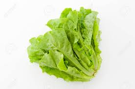 We love korean food at . Celtuce Stem Lettuce Korean Lettuce Yakiniku Lettuce Called Sanche Stock Photo Picture And Royalty Free Image Image 90182399