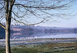 Check spelling or type a new query. Deer Lake Burnaby Bc