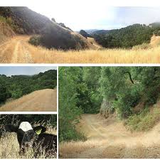 With its rolling, grassy hills and secluded, shady canyons Shangri La S Secret Access To Lafayette Paradise Hiking Trails With Views And Moos Dana Green Team The Pulse Of Lafayette Real Estate