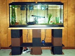 Build A Strong Inexpensive Aquarium Stand Diy Aquarium Stand Aquarium Stand Fish Tank Stand