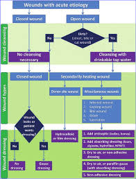 flow chart showing the various cleansing dressing and