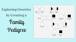 Build a custom, diy family tree for free with canva's impressively easy to use online family tree maker. Exploring Genetics By Creating A Family Pedigree Kristin Moon Science