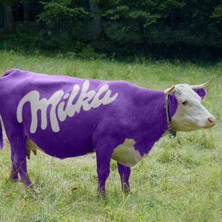 Milka, kako je ovaj slatki brend dobio ime? Milka je BRAND mlečne čokolade  koji pripada nemačkoj kompaniji Kraft Foods svima prepoznatljiv po  ljubičastoj kravici na omotu. Švajcarac Filip Sušard pust