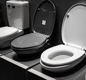 What is the best material for a toilet seat? Comparison of ...