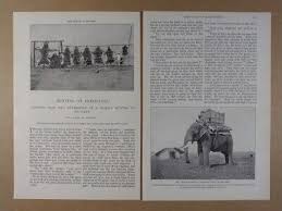 1898 Tiger Rhinoceros Leopard Hunting ...