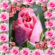 We are local princeton florist, supply fresh flowers for any occasion. ×©×'×ª ×¤×¨××× Picmix