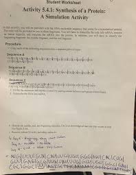 Jul 25, 2021 · dna mutation simulation answer key quizlet / mutations worksheet deletion insertion and substitution. Protein Synthesis Simulation Activity Answer Key Protein Synthesis