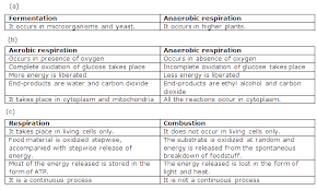 Biology questions & answers for aieee,bank exams,cat, analyst,bank po : Chapter 10 Respiration In Plants Frank Modern Certificate Solutions For Class 9 Biology Icse Topperlearning