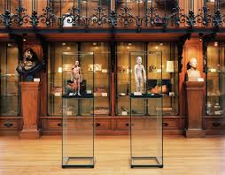 Muséum de toulouse (muzeul toulouse), câteodată prescurtat mhnt (de la muséum d'histoire naturelle de la ville de toulouse) este un muzeu de istorie naturală localizat în toulouse, franța. Musee D Histoire De La Medecine