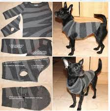 Make Doggie Sweaters From Old Sweaters Can Donate To Shelters Dog Coat Pattern Diy Dog Sweater Dog Clothes Diy