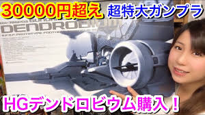 ガンプラ】最大級のHG！『デンドロビウム』ついに購入！気になる中身公開☆ガンダム プラモデル GUNDAM GUNPLA DENDROBIUM -  YouTube
