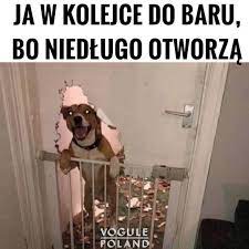 Udział w losowaniu będą mogły wziąć osoby zarejestrowane i. Loteria Dla Zaszczepionych O Co W Niej Chodzi I Dla Kogo Jest
