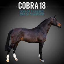 Circuit diagram for cobra 18ws2 wx mode vco frequency: Cobra 18 Cornet Obolensky X Ramiro Z Home Facebook