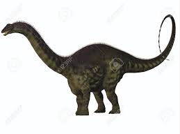 Apatosaurus was an herbivore from the jurassic period, with tremendously elongated neck and tail. Apatosaurus On White Apatosaurus Also Called Brontosaurus Is Stock Photo Picture And Royalty Free Image Image 34797585