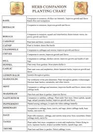 Herb Companion Planting Chart Herbal Gardens