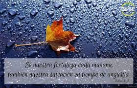 Se Nuestra Fortaleza Cada Manana Tambien Nuestra Salvacion En Tiempo De Angustia Isaias 33 2 El Senor Nos Habla Hoy Oye Su Voz Y Confia Movie Posters Movies