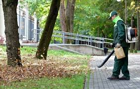 Image result for curb appeal clean up