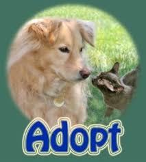 ¡juega gratis a puppy rescue, el juego online gratis en y8.com! Adoptions Jackson County Mi