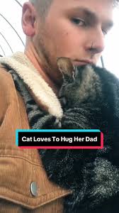 Adorable Cat Showing Affection: Daily Routine with Hugs and Treats