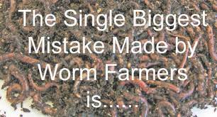 How To Sell Worms - Earthworm Works