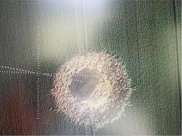 The explosion took place today on tuesday (july 27) at 9.40 am in the morning at a plant in leverkusen located 16km from cologne. Weltkriegsbombe Explodiert Auf Feld In Limburg Von Selbst Kolner Stadt Anzeiger