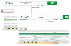 Los pasos que debes de seguir para sacar el rut mediante internet son los siguientes: Registro Unico Tributario Rut Por Internet Guia Paso A Paso