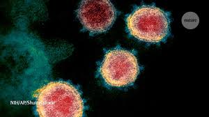 Get full coverage of the coronavirus pandemic including the latest news, analysis, advice and explainers from across the uk and around the world. Why Does The Coronavirus Spread So Easily Between People